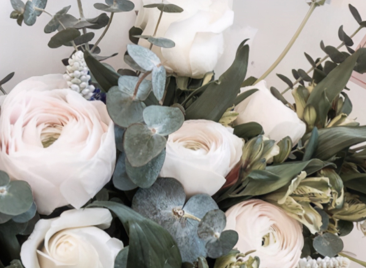 「风尚行」“花花世界”触手可及，隐藏在新亚洲体育城的娇艳诸芳