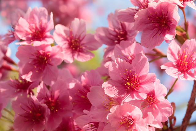 不用吃药怎么治头晕,头晕吃药能解决的问题