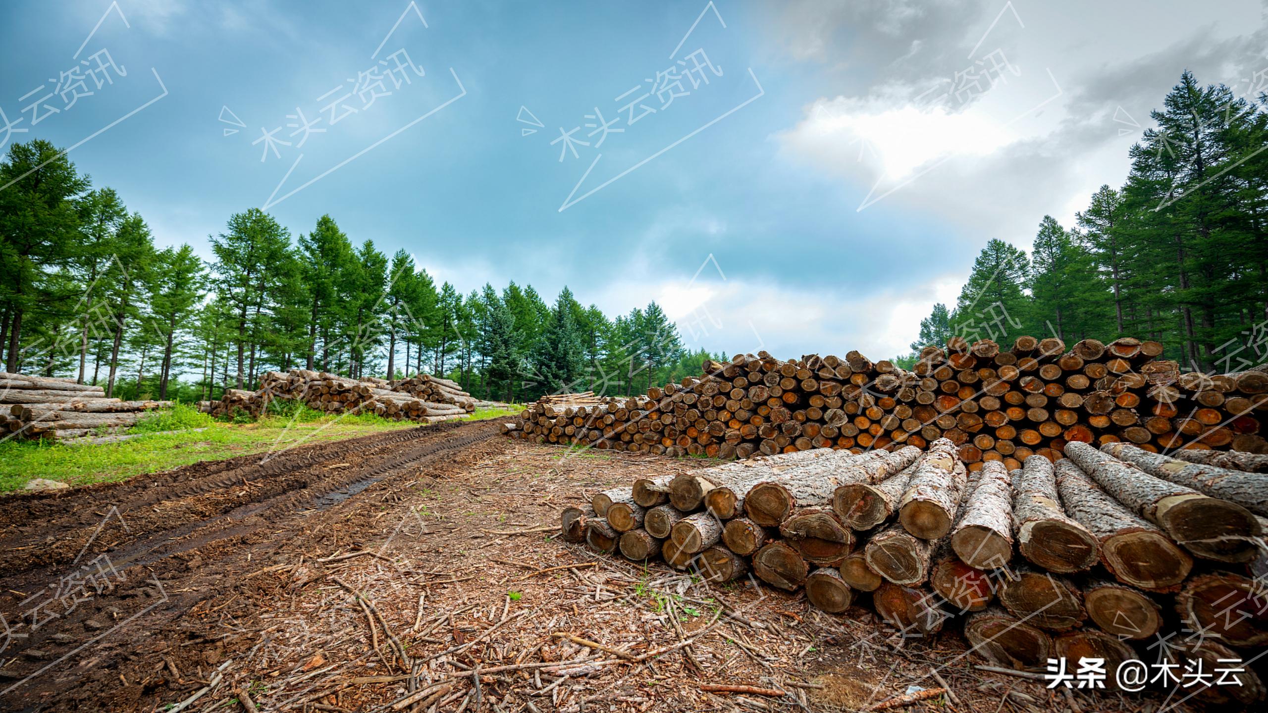 木材指数,国家统计局官网物价指数