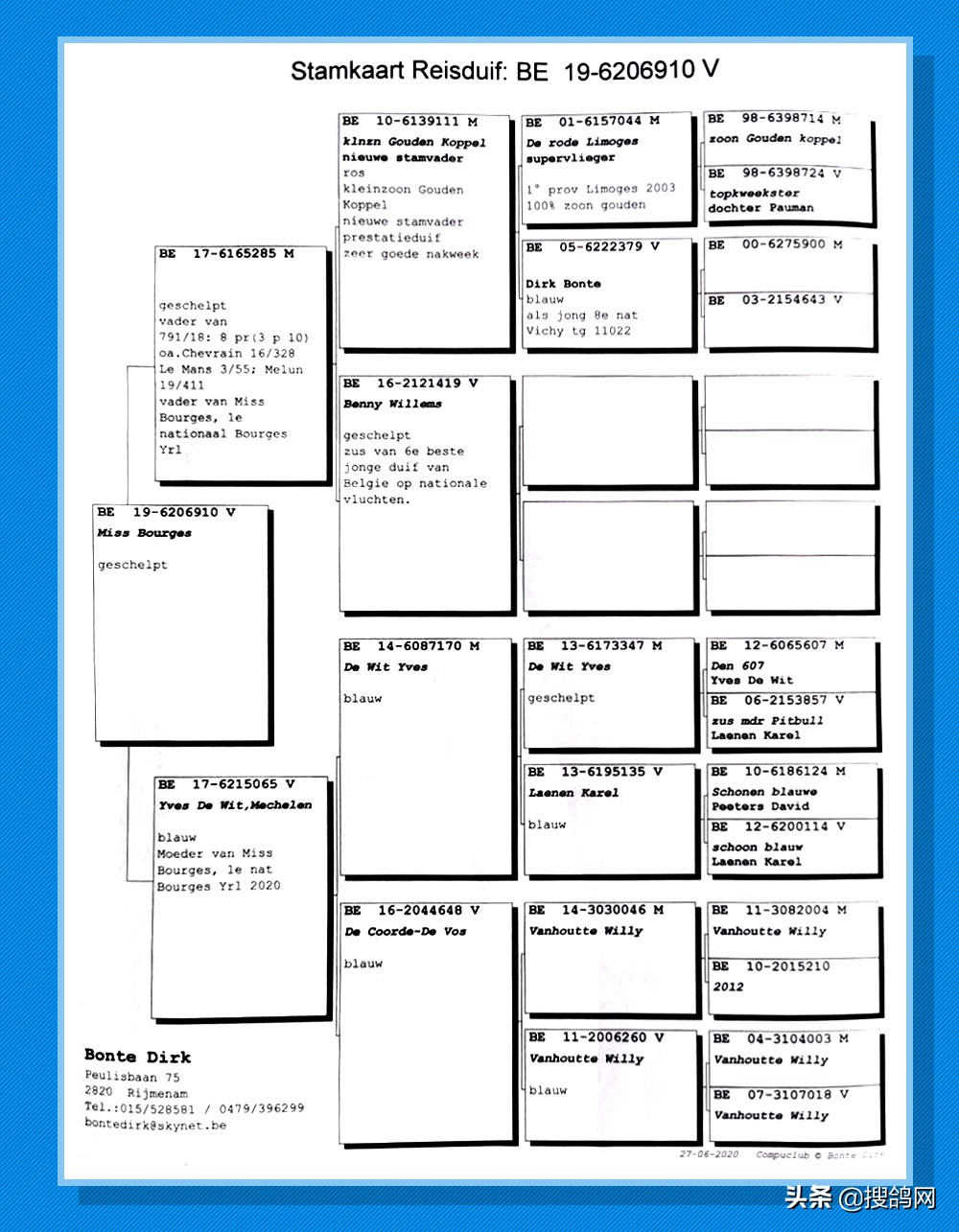 2020年比利时波治I冠军赏析