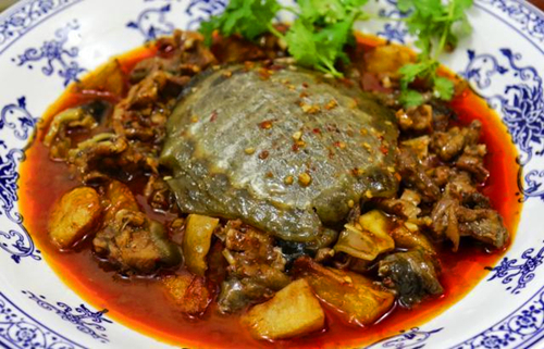 甲鱼的秘制酱料怎么熬制,甲鱼苦胆怎么调味