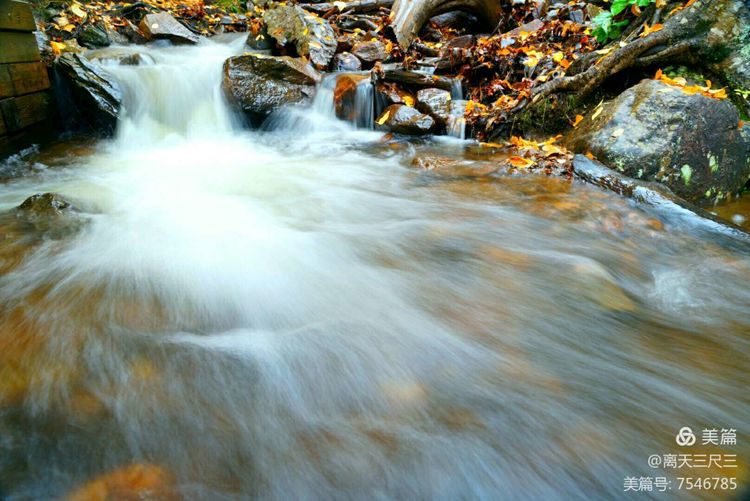 鍖楃編鏋儏閽荤煶姗℃湪,鍖楃編鏋儏鐏攨