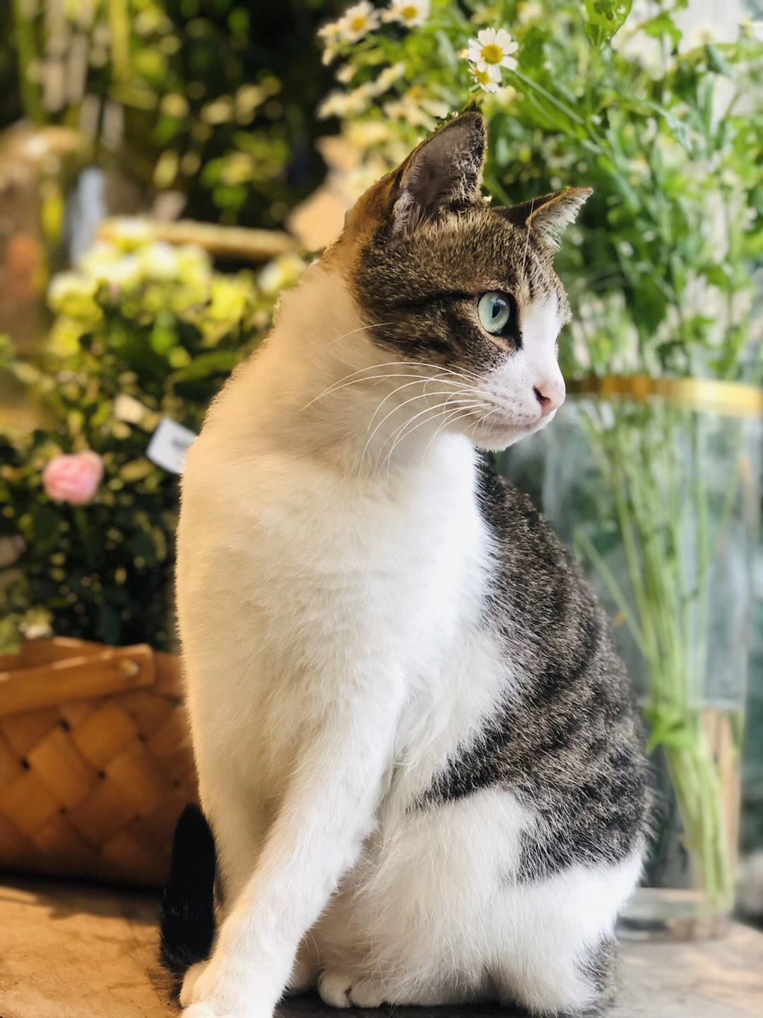 职场:请辞,被辞,混合辞?