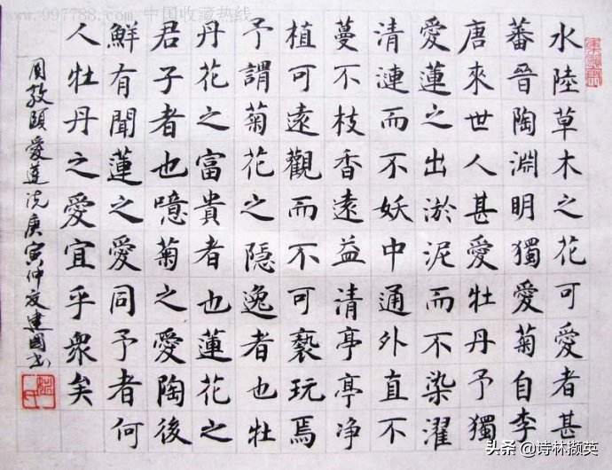 宅家学语文——七年语文下册《爱莲说》