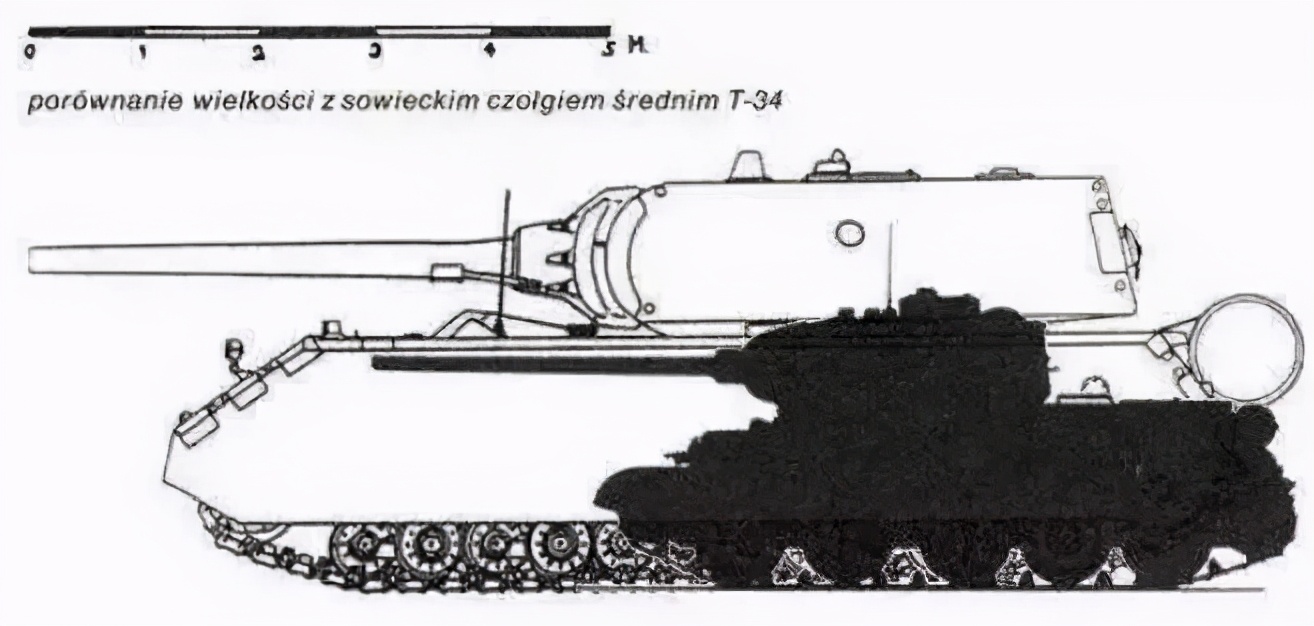 堪称真·“团队之盾”的D系王者新版本战斗力能否傲视群雄？