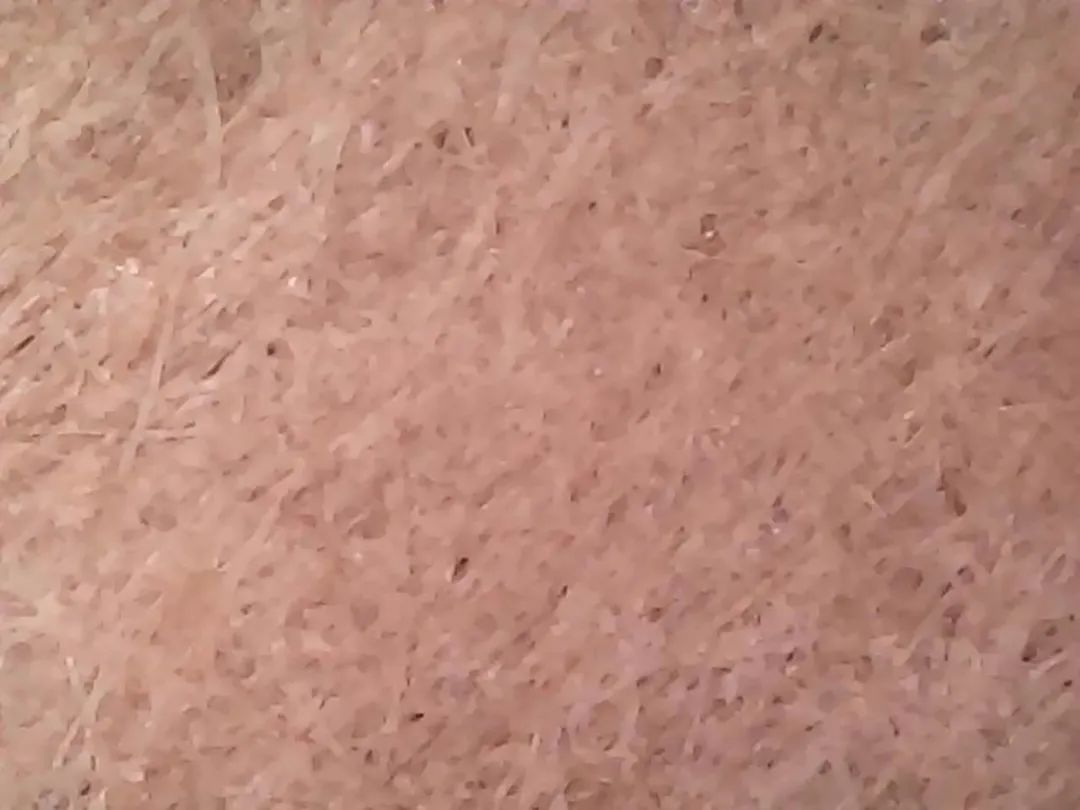 暑假孩子玩手机不如打篮球吧,儿童显微镜放大蚂蚁120倍