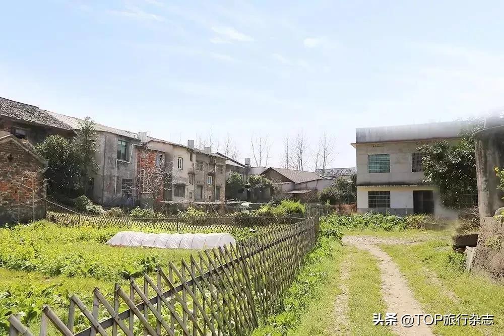 原来长沙隐藏了这14个人少景美的江心洲!不出城就能感受“海岛风情”,有些可以追溯到五代十国……