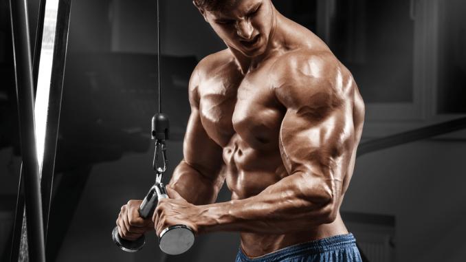 粗壮手臂,粗壮的手臂怎么变细