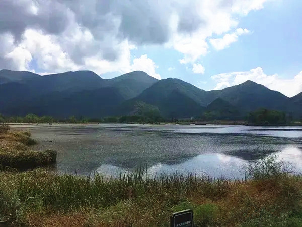 神农架大九湖最美雪景,神农架神农顶大九湖