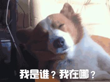 发酵面包的好处和坏处,面包种类建议收藏