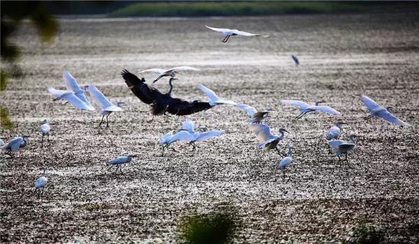 广州南沙区飞速发展,即将崛起的广州南沙区