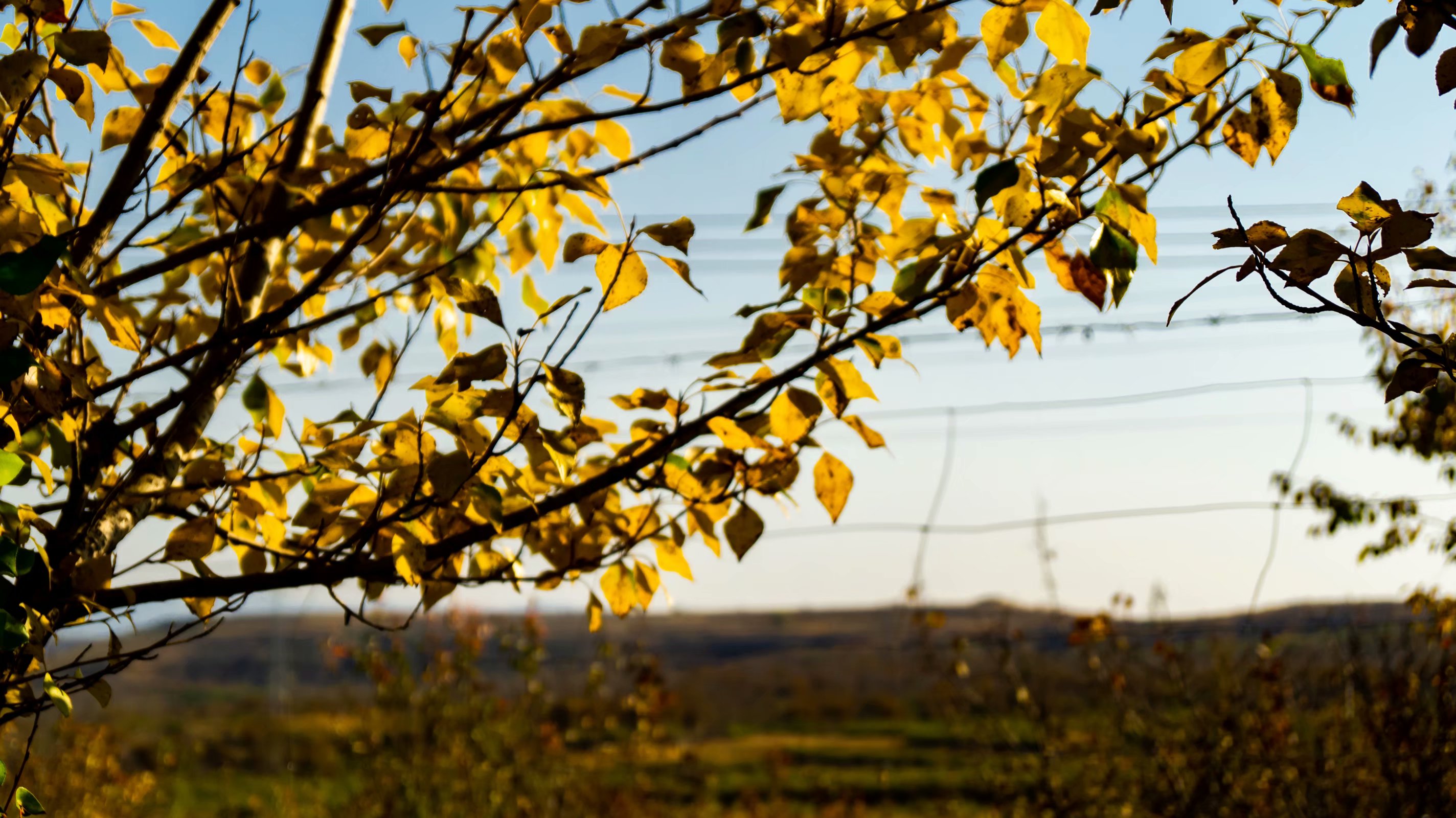 每年有多少考研学生弃考,考研每年有多少人放弃调剂