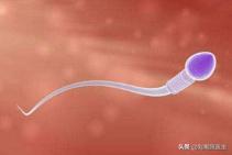 免疫问题怀孕前期怎么调理,免疫相关不良反应事件诊断标准