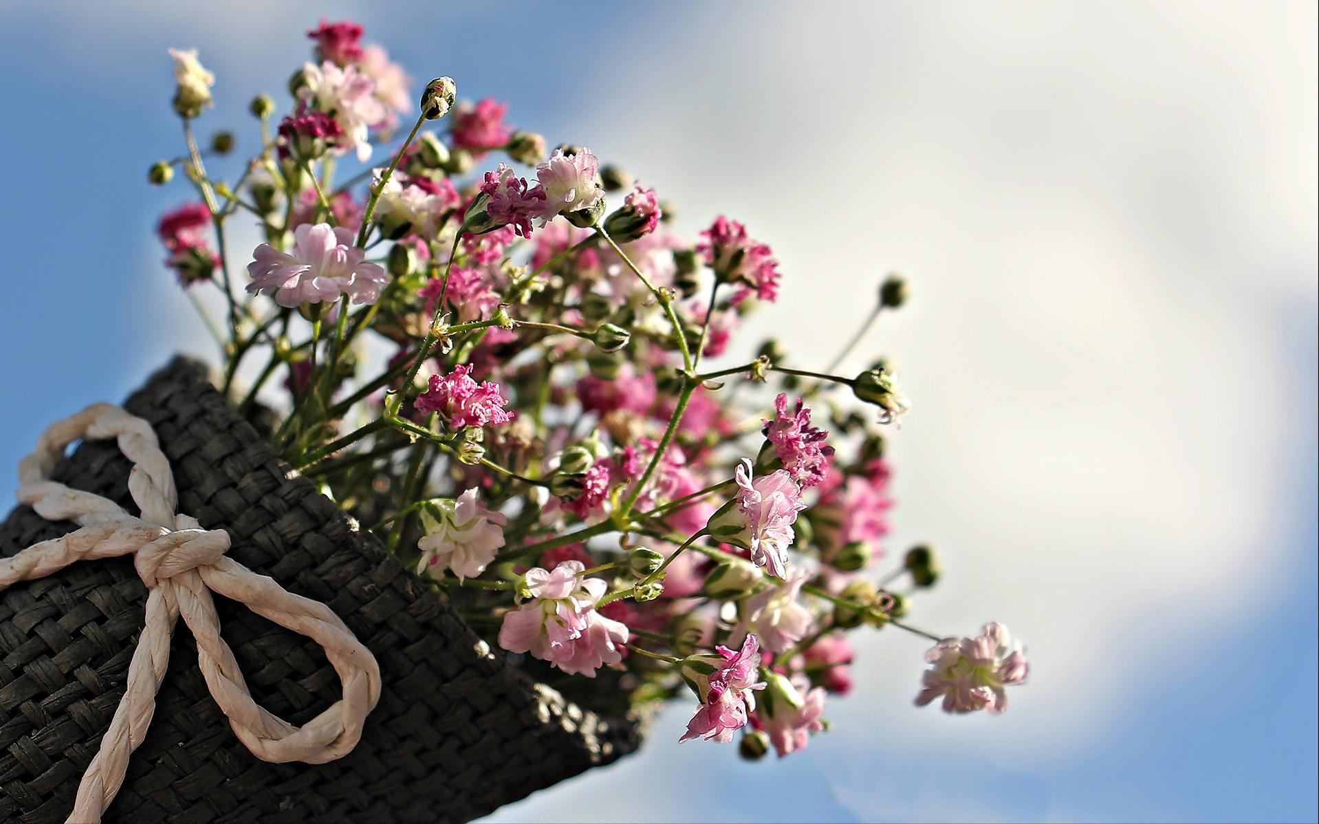 双鱼座如何与巨蟹座相处,双鱼座如何与摩羯座相处