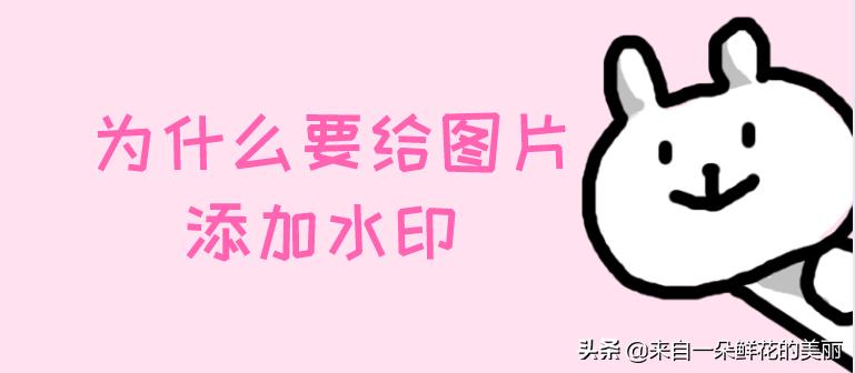 手机如何给证件照片加水印,什么app可以给照片加水印