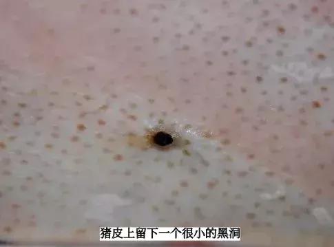 高能激光笔能引起火灾吗,激光笔真的能点燃火柴吗