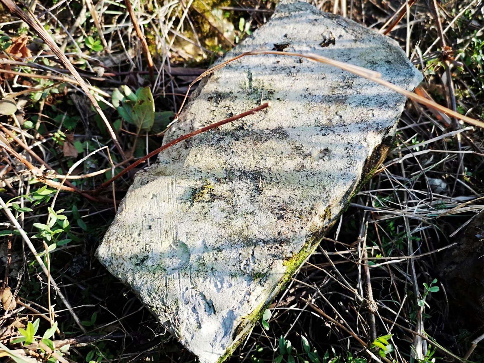 摩托周边旮旯游——探访蚌埠李楼鲁山寺遗址（上）