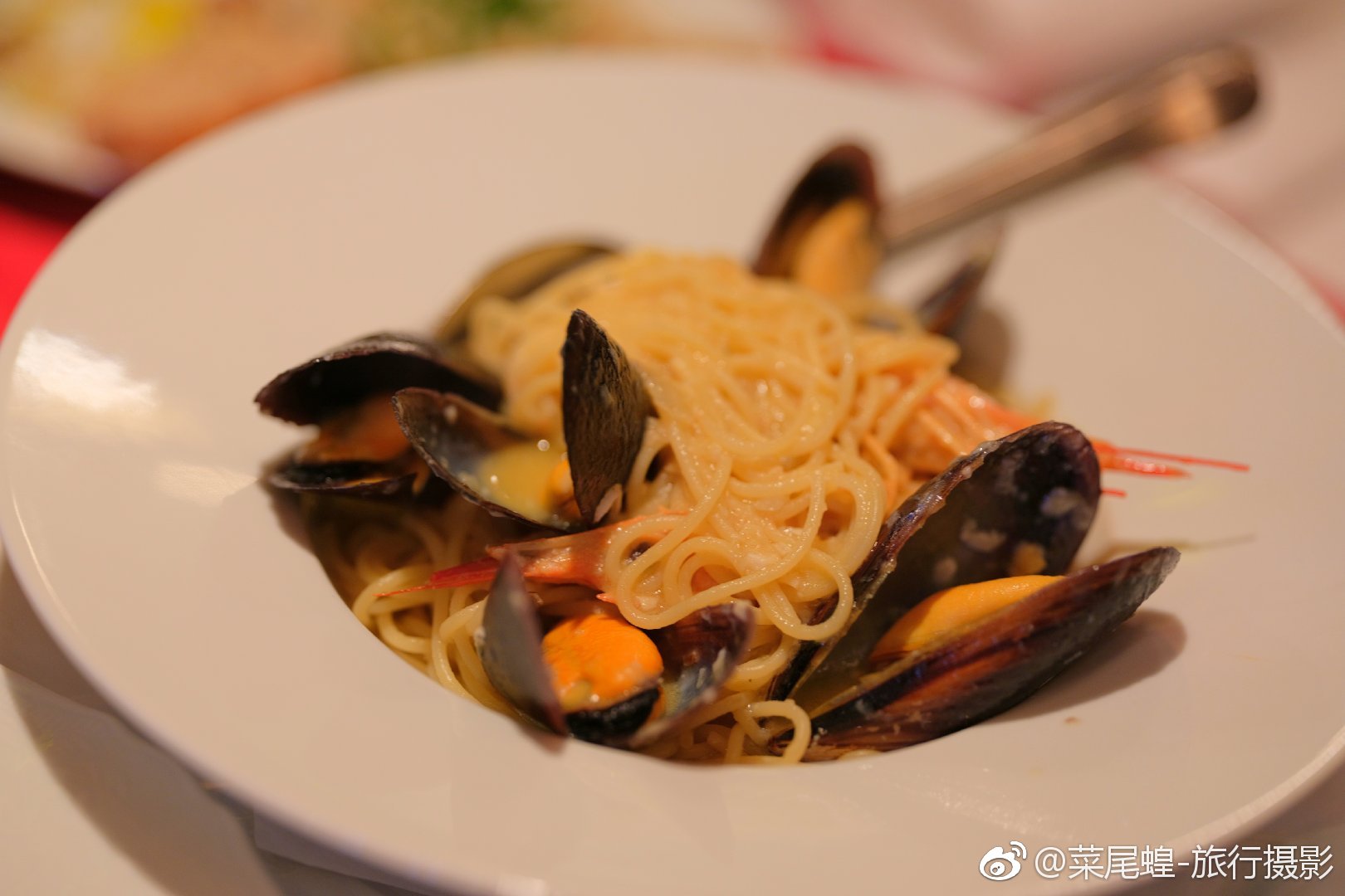 贝尔格莱德旅游免签,东欧冬天旅游攻略