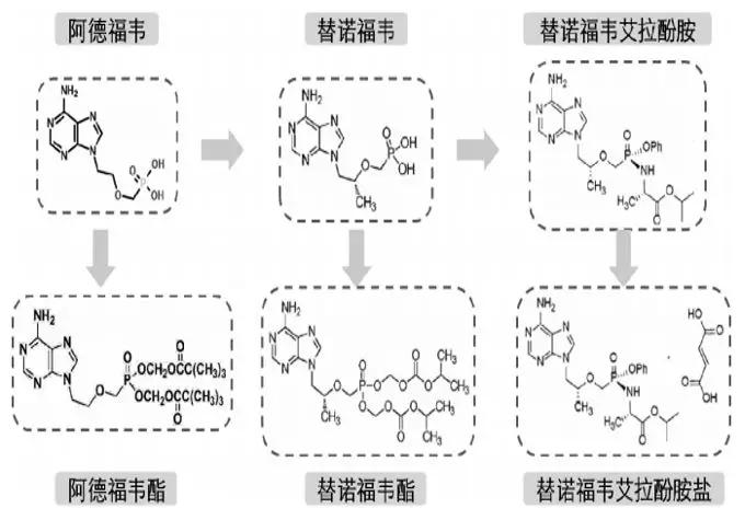 阿德福韦酯和丙酚替诺福韦哪个好,富马酸替诺福韦与丙酚诺福韦区别