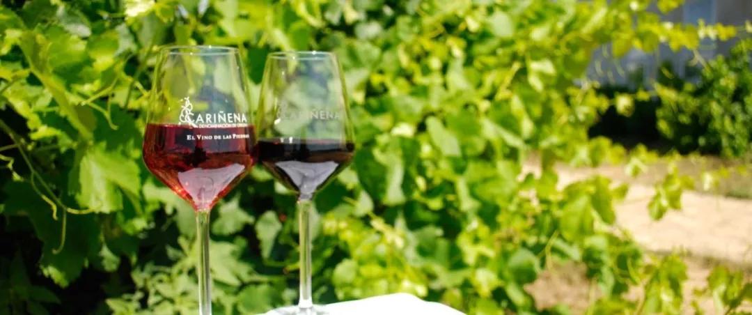 佳丽酿介绍,佳丽酿英文