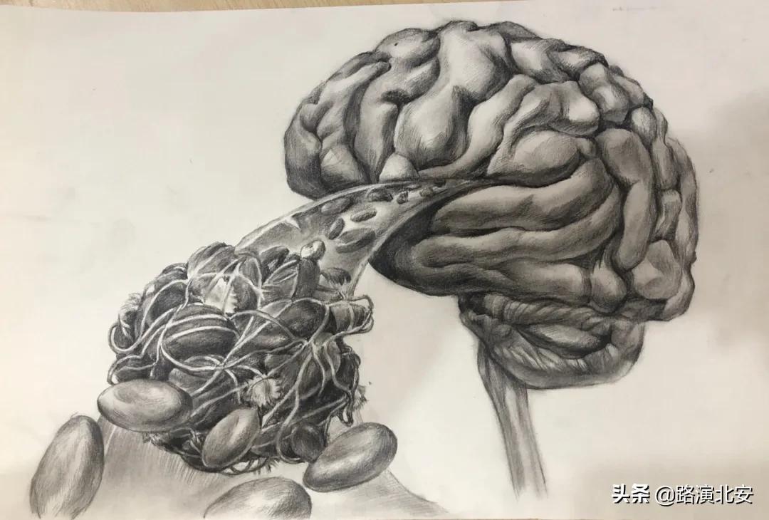 生命的故事绘本视频,生命的故事绘本绘画