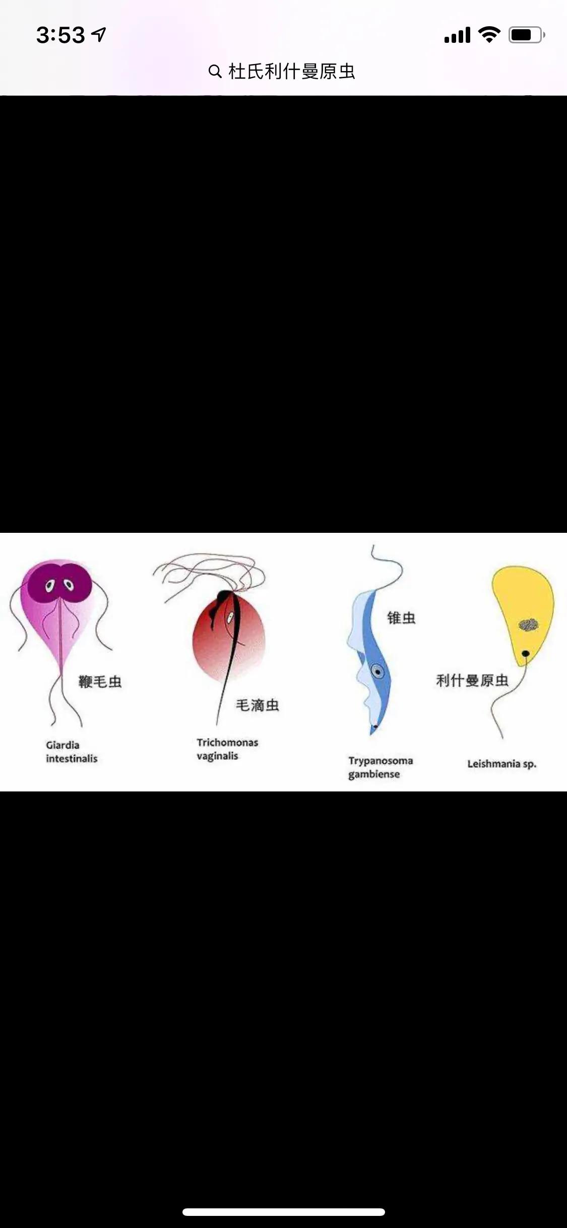 南方有黑热病,北京有黑热病么