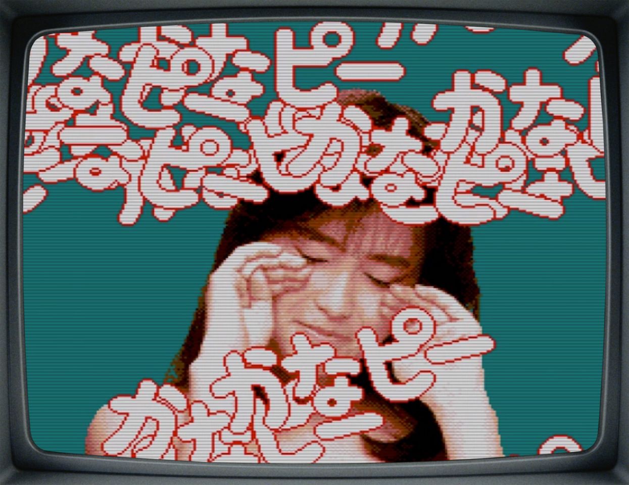 酒井法子去冒险,曾经的女神酒井法子大家还记得吗