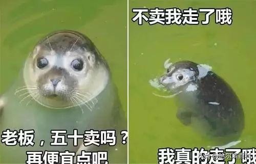 金太阳,曾是哈尔滨“时尚潮人聚集地”,如今竟是这样一番景象…