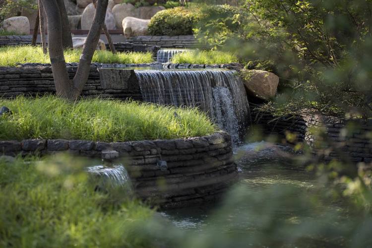 住宅区景观植物配置,居住区景观设计要点和方法有哪些