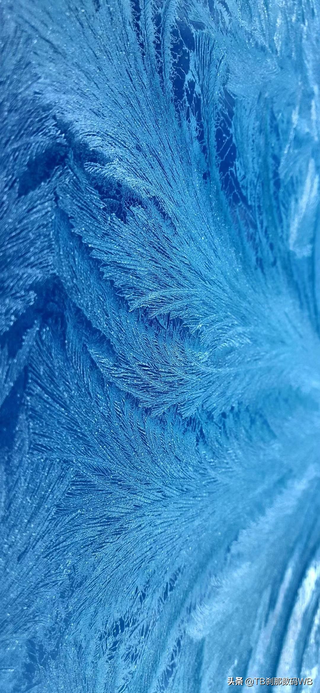 女神比比东精美壁纸,江南水乡精美壁纸图