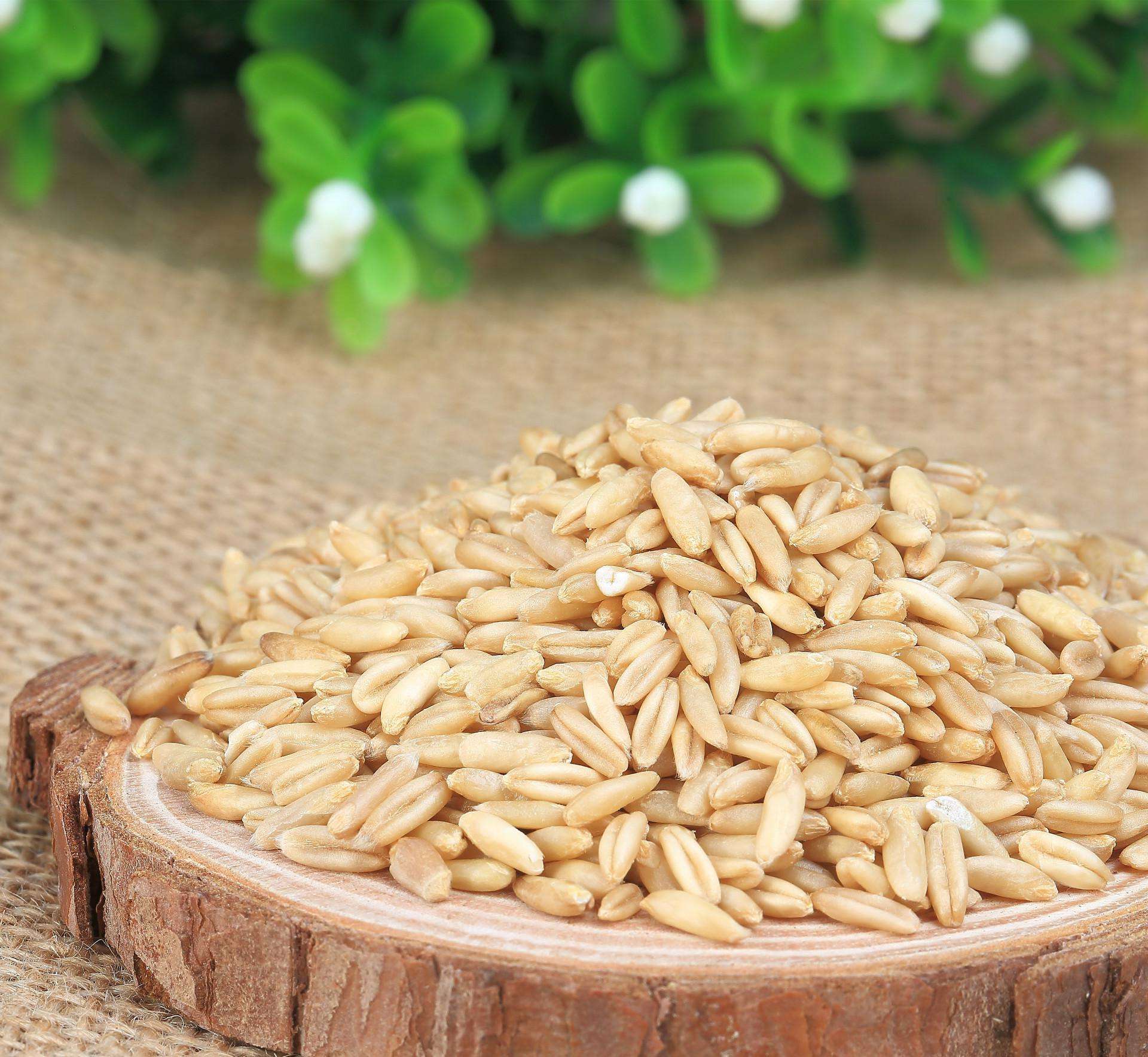 为何说燕麦是全球公认的健康食物,营养学家说燕麦功效