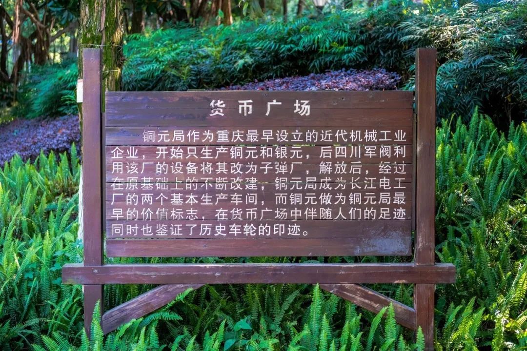 春意盎然的湿地公园,一个风景如画美丽休闲的公园