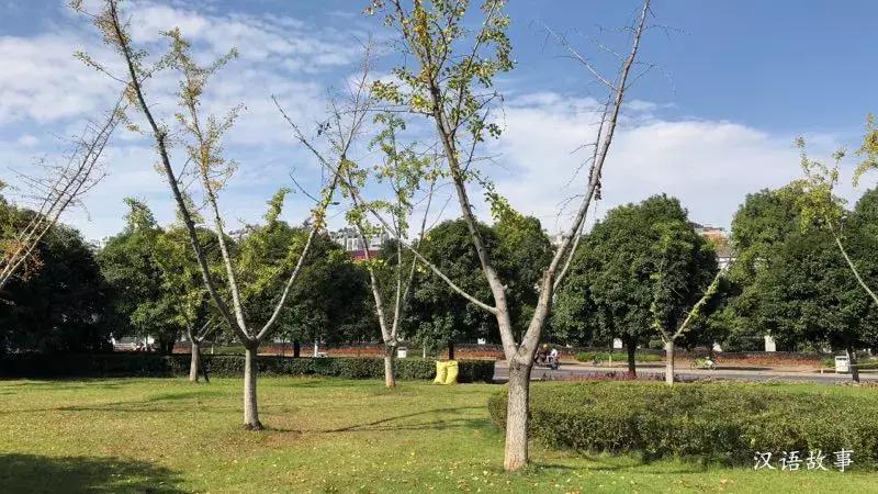 女儿是父母贴身的小棉袄(中英对照)