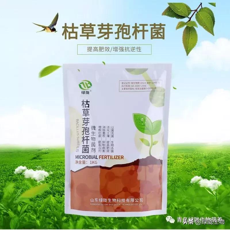 水产枯草芽孢杆菌正确使用方法,农用枯草芽孢杆菌使用方法及用量