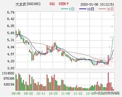 猪肉股涨停,2019猪市涨停