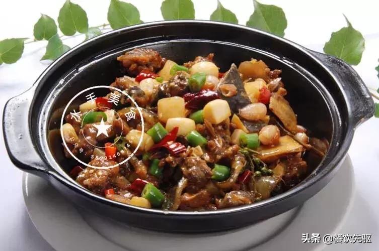 甲鱼菜谱家常菜做法,甲鱼菜正确吃法大全