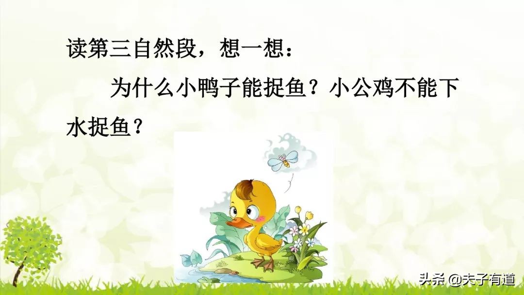 一年级下小公鸡和小鸭子看图写话,一年级下册小公鸡和小鸭子第五课