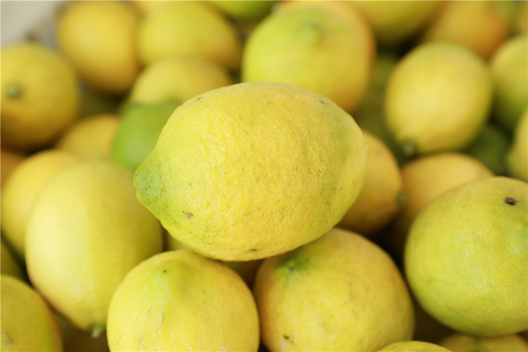 罗平柠檬基地,云南罗平柠檬种植基地