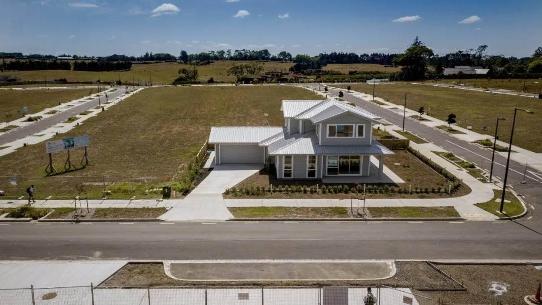 新西兰对待华人态度,华人新西兰被骗