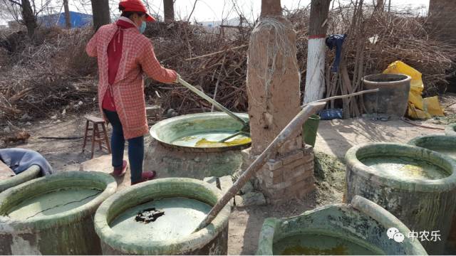 果园用石硫合剂,果园清园用石硫合剂几次最好