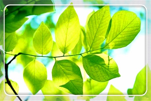 当一个人无路可走该怎么办,当生活陷入困境怎么处理