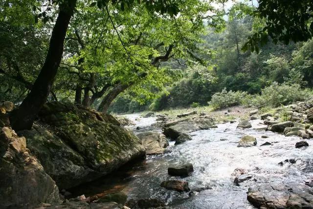 广西最发达的五个县级市,广西最发达的县城排名