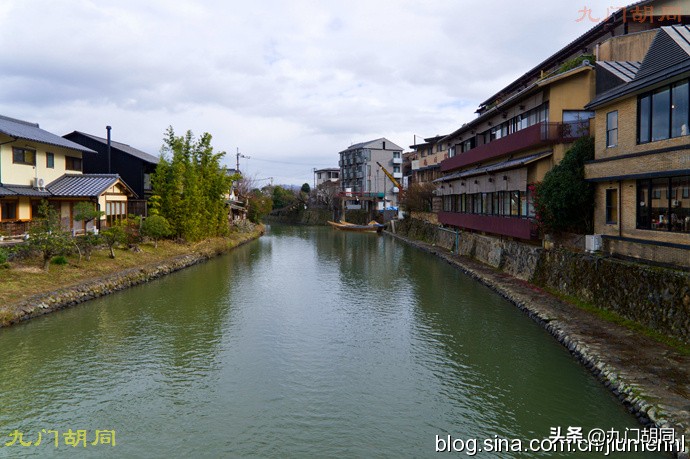 京都岚山风景区在哪,京都岚山樱花