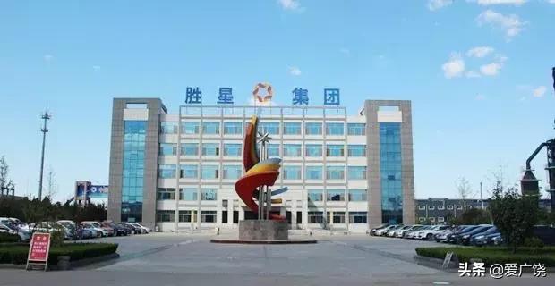 广饶十大企业排名,广饶什么企业最挣钱