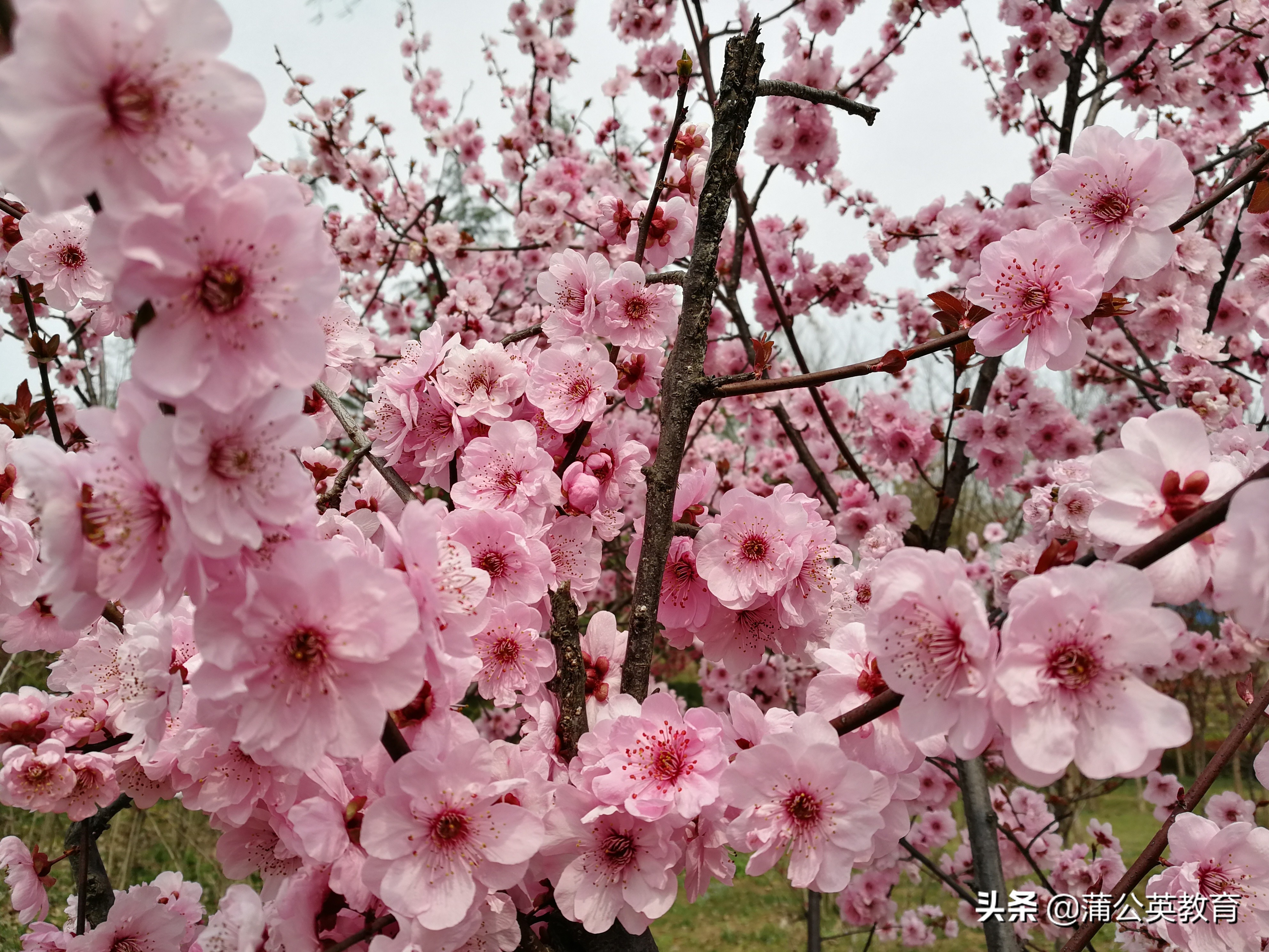 站着借钱跪着要债还钱时见人品,站着借钱跪着要债