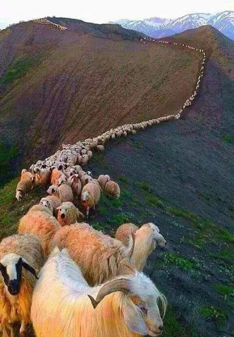 发现被别人偷拍照片,偷拍别人的照片是否违法