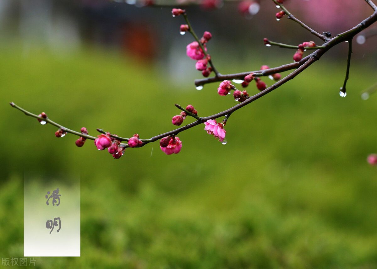 信立泰能逆袭吗,信立泰走势最新消息