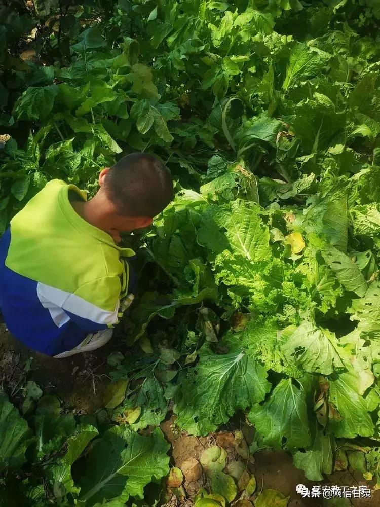 金太阳幼儿园校门,延安市甘泉谢金庄幼儿园