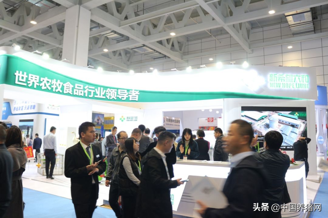 吃得多、出栏快、不拉稀,新希望六和教你金猪行情下抢占先机