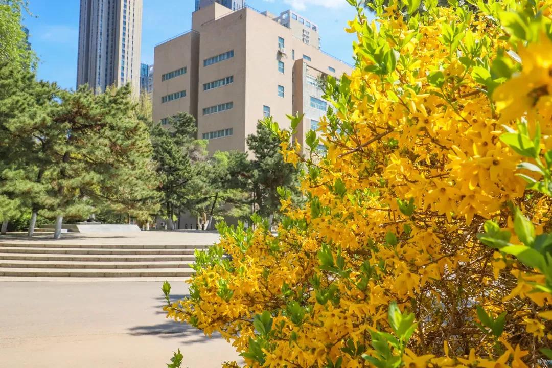 辽宁大学和鲁迅美术学院,辽宁省鲁迅美术学院是985吗